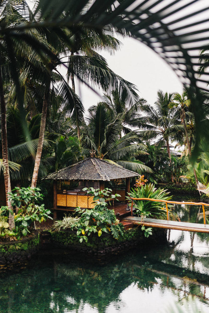 Photography Tips From Wai Su